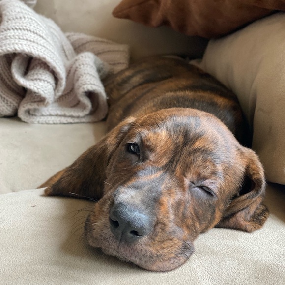 Meet your Posher, Alex-andra - Picture 11 of 12